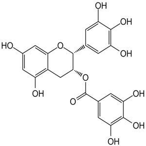989-51-5(-)-Epigallocatechin gallate (EGCG)