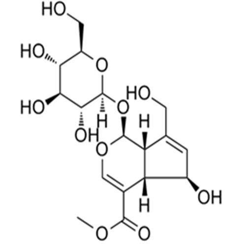 Feretoside,Feretoside