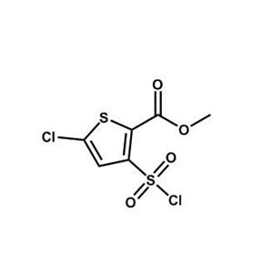5-氯-3-(氯磺酰基)-2-噻吩羧酸甲酯