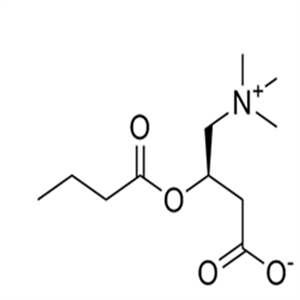 Butyrylcarnitine,Butyrylcarnitine29