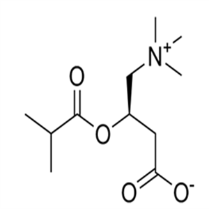25518-49-4Isobutyryl-L-carnitine
