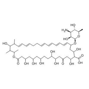 制霉菌素,Nystatin