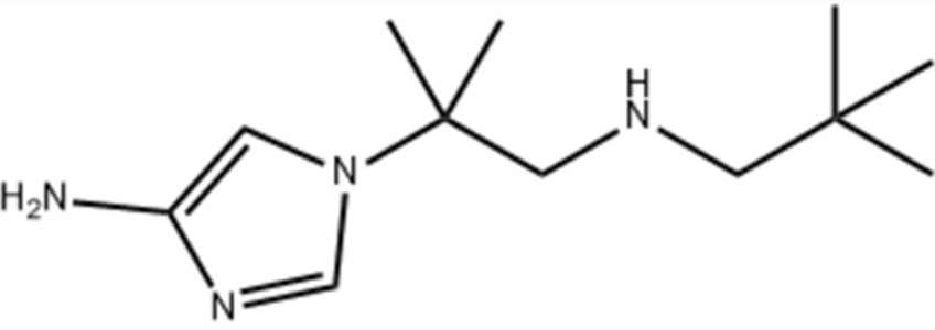 1-(2-methyl-1-(neopentylamino)propan-2-yl)-1H-imidazol-4-amine,1-(2-methyl-1-(neopentylamino)propan-2-yl)-1H-imidazol-4-amine