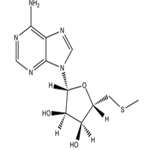 Methylthioadenosine,Methylthioadenosine