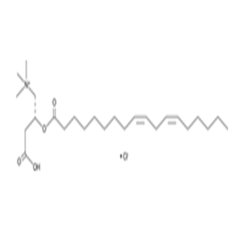 Linoleoyl-L-carnitine (chloride),Linoleoyl-L-carnitine (chloride)