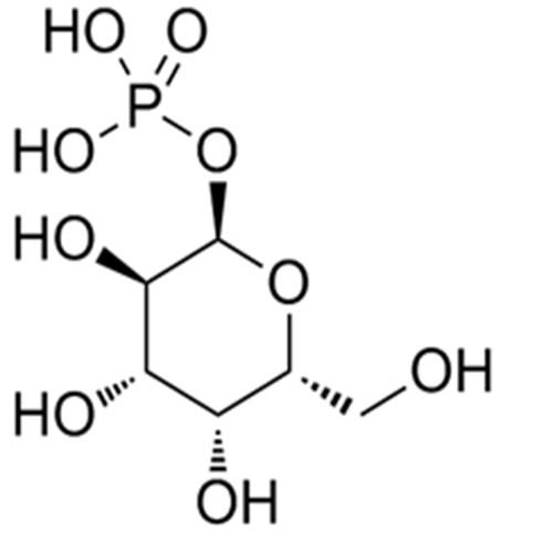 Galactose 1-phosphate,Galactose 1-phosphate