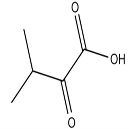 Ketoisovaleric acid,Ketoisovaleric acid