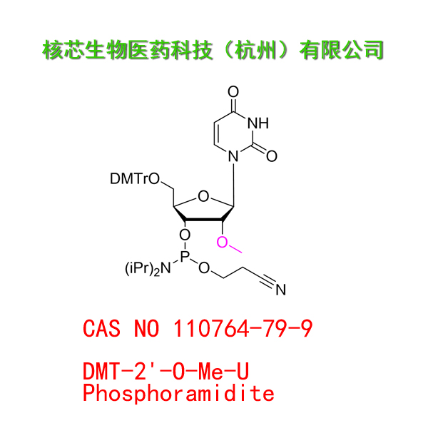 DMT-2'-O-Me-U Phosphoramidite