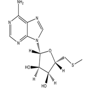 2457-80-9Methylthioadenosine