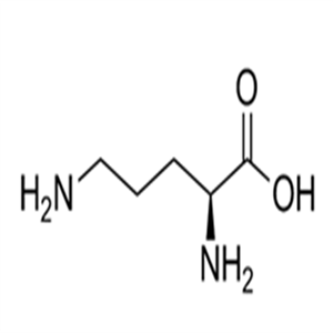 L-Ornithine ((S)-2,5-Diaminopentanoic acid)
