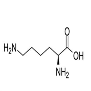 56-87-1L-Lysine