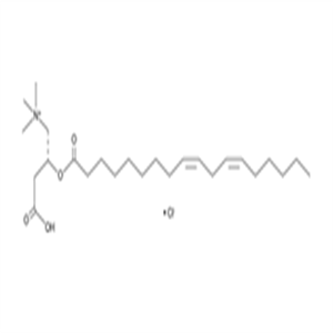 173686-75-4Linoleoyl-L-carnitine (chloride)