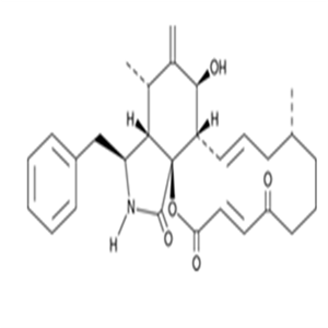 Cytochalasin A,Cytochalasin A