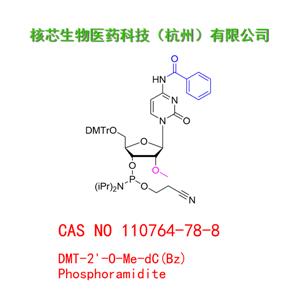 DMT-2'-O-Me-dC(Bz) Phosphoramidite 工厂大货