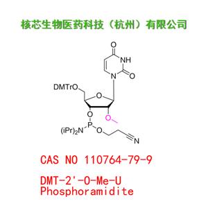 DMT-2'-O-Me-U Phosphoramidite  工厂大货