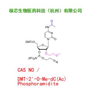 DMT-2'-O-Me-dC(Ac) Phosphoramidite  工厂大货