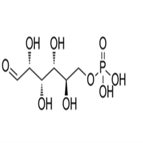 D-Glucose 6-Phosphate,D-Glucose 6-Phosphate