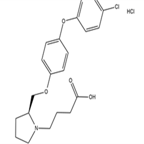 DG-051,DG-051