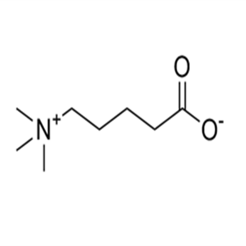 delta-Valerobetaine,delta-Valerobetaine