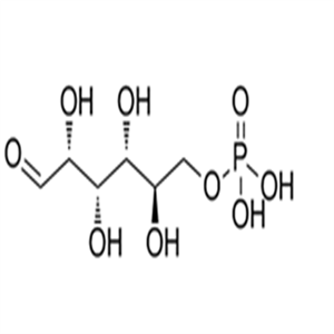 56-73-5D-Glucose 6-Phosphate
