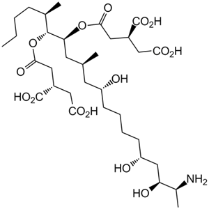 116355-83-0Fumonisin B1
