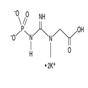 18838-38-5Creatine Phosphate (potassium salt)