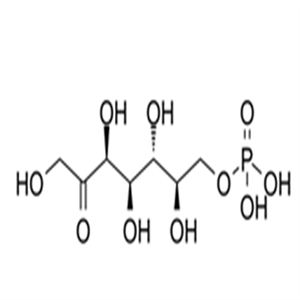 D-Sedoheptulose 7-phosphate,D-Sedoheptulose 7-phosphate