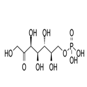 2646-35-7D-Sedoheptulose 7-phosphate