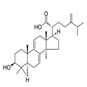 29220-16-4Dehydrotrametenolic acid