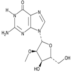 2140-71-82'-O-Methylguanosine