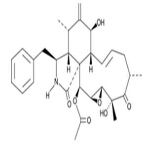 191349-10-719,20-Epoxycytochalasin D