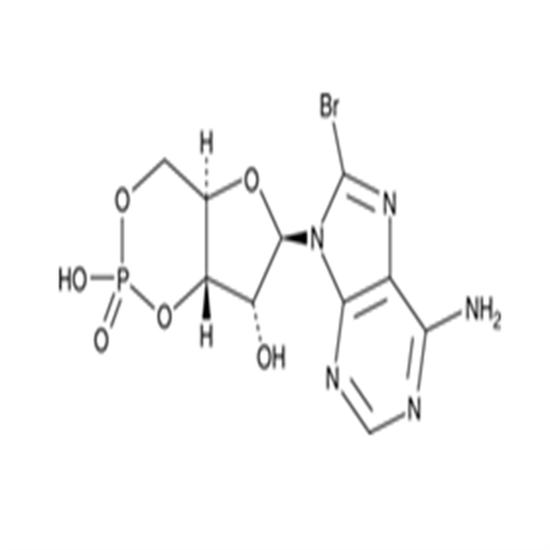 8-bromo-Cyclic AMP,8-bromo-Cyclic AMP