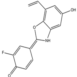 ERB 041,ERB 041