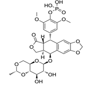 117091-64-2Etoposide phosphate