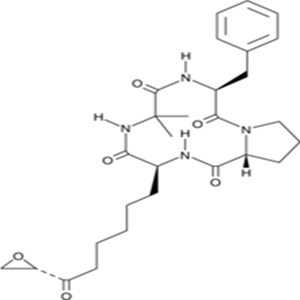 53342-16-8Chlamydocin