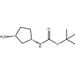 (1S,3R)-3-氨基-1-(Boc-氨基)环戊烷