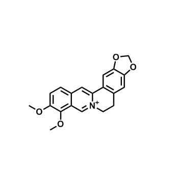 9,10-二甲氧基-5,6-二氢-[1,3]二氧杂戊环并[4,5-g]异喹啉并[3,2-a]异喹啉-7-ium,9,10-Dimethoxy-5,6-dihydro-[1,3]dioxolo[4,5-g]isoquinolino[3,2-a]isoquinolin-7-ium