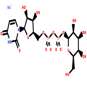 尿苷-5'-二磷酸葡萄糖二钠盐,Uridine 5′-diphosphoglucose disodium salt