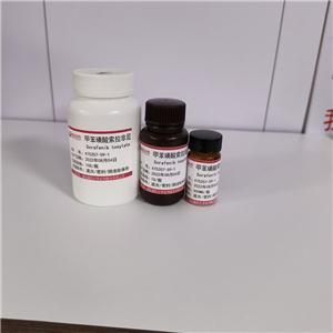 甲苯磺酸索拉菲尼,Sorafenib toluene sulfonate