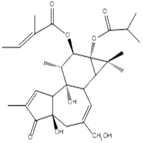 伏波酯-12-惕各酸酯-13-異丁酸酯,12-O-Tiglylphorbol-13 –isobutyrate