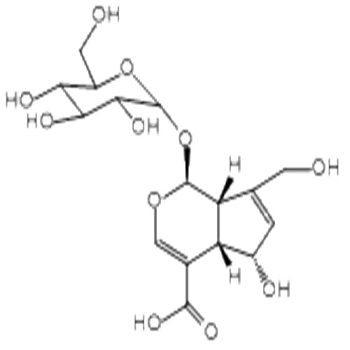 去乙酰基车叶草苷酸,Desacetyl asperulosidic acid