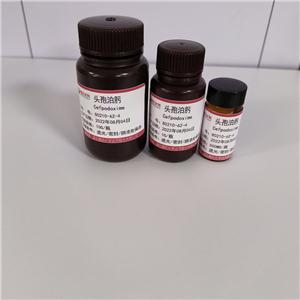 头孢泊肟酸-80210-62-4