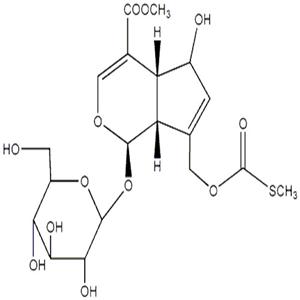 鸡屎藤苷酸甲酯