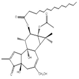 伏波酯-12-十四烷酸酯-13-乙酸酯,12-O-tetradecanoyl phorbol-13-acetate