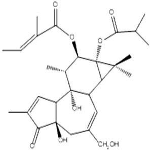 伏波酯-12-惕各酸酯-13-异丁酸酯