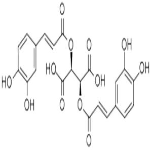 二咖啡酰菊苣酸,Cichoric acid