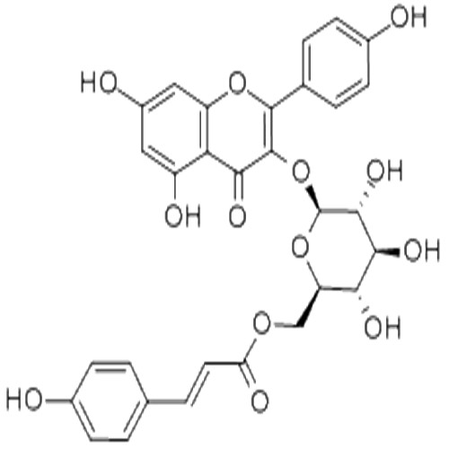 银椴苷,Tiliroside