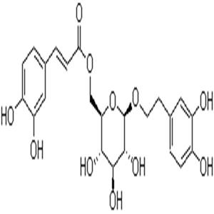 木通苯乙醇苷B,Calceolarioside B