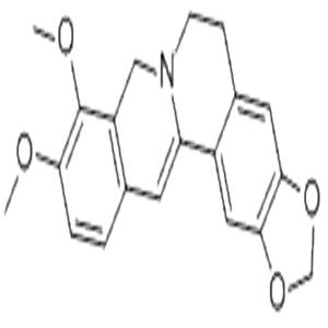 二氢小檗碱,Dihydroberberine