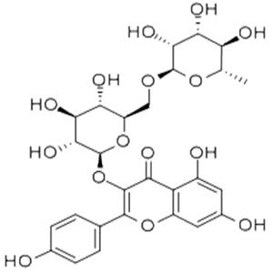山柰酚-3-O-芸香糖苷